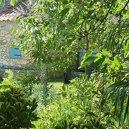 Villa Kazun With Private Pool And Two Gardens Marcana Exterior photo
