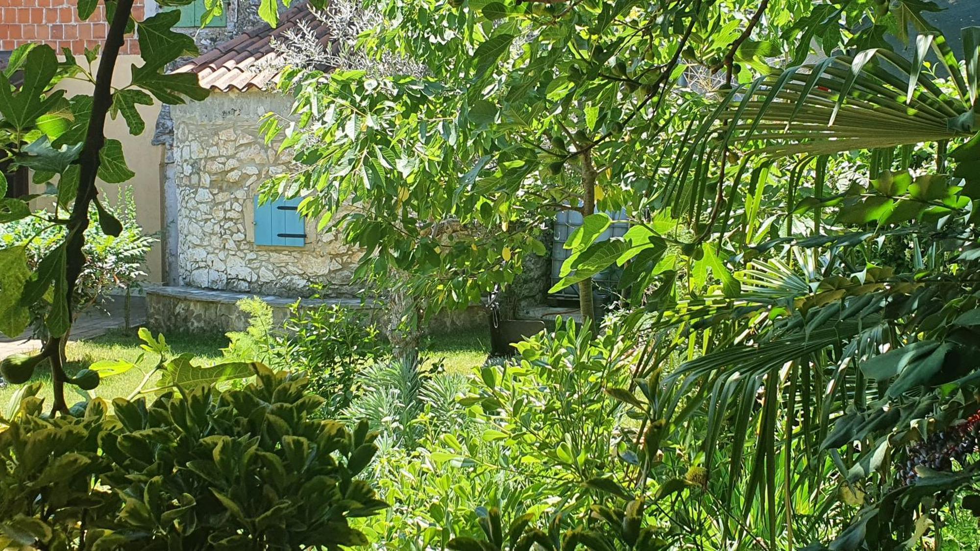 Villa Kazun With Private Pool And Two Gardens Marcana Exterior photo